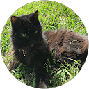jerry newton profile picture